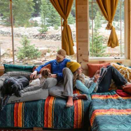 A couple and their two dogs lounging by a large window inside a home