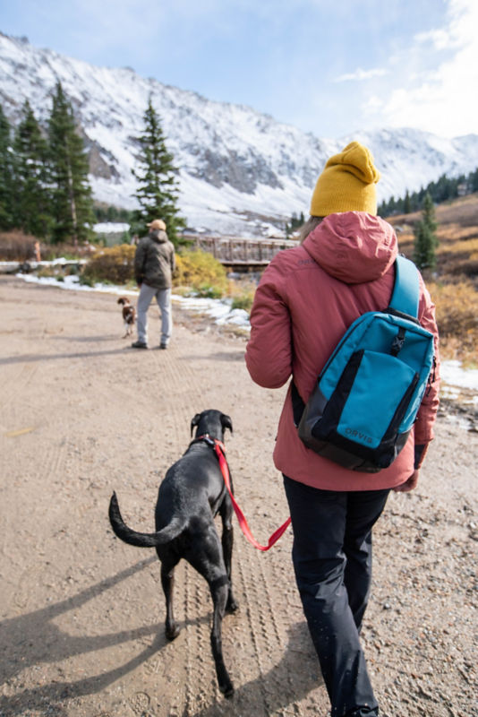 Two hikers walk their dogs along a dirt road in the snowy mountains