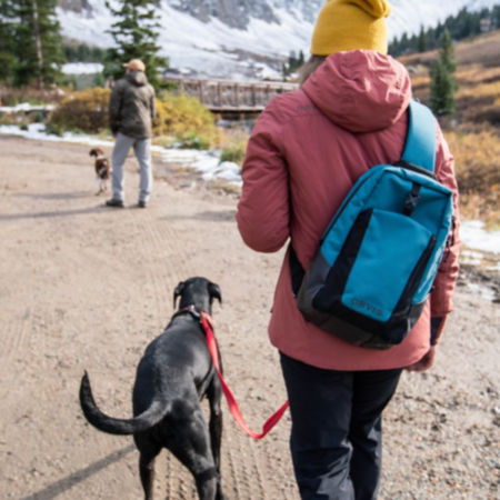 Two hikers walk their dogs along a dirt road in the snowy mountains