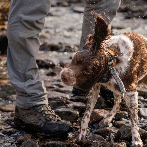 A close up on muddy hiking boots and a dog shaking water off its body
