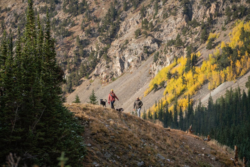 Two hikers climb a steep mountainside with their dogs.