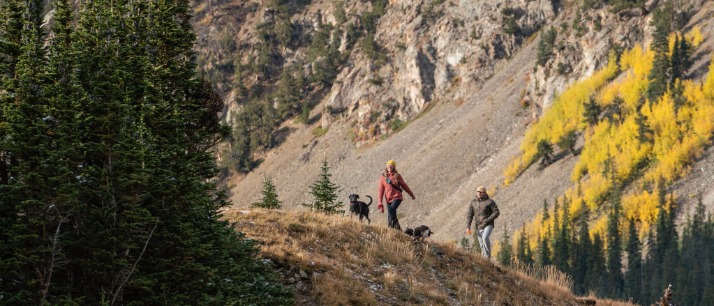 A man, woman, and dog hiking in the mountains