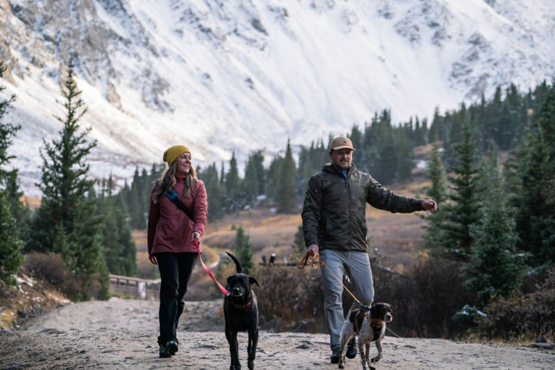 A woman, man, and two dogs walking down a hiking path.