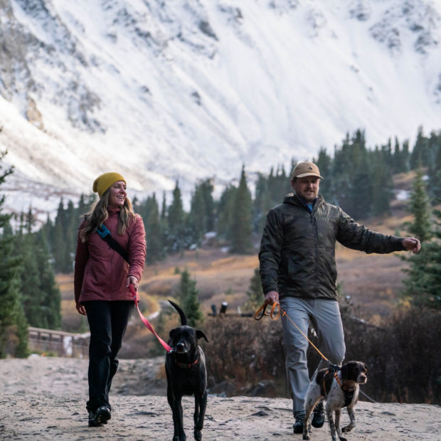 A woman, man, and two dogs walking down a hiking path