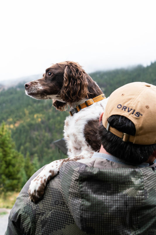 Tough Trail&reg; Dog Collar -  image number 3