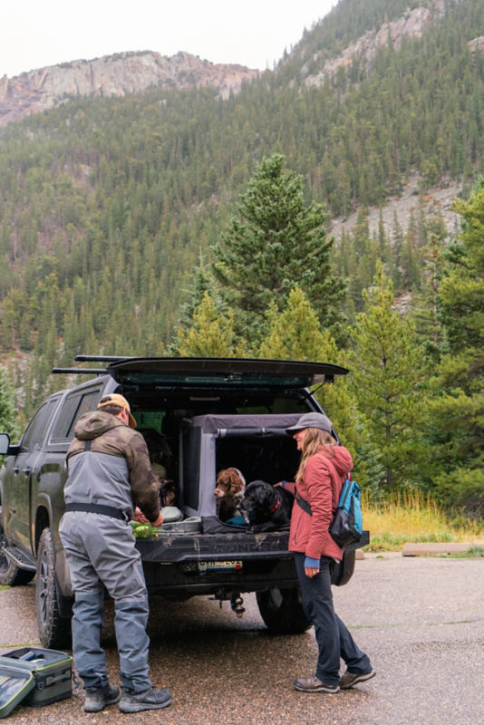 Two dogs inside a travel crate in the back of a truck bed while a women is standing next to it.