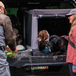 Two dogs inside a travel crate in the back of a truck bed while a women is standing next to it.