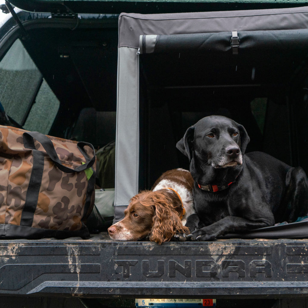 Tough Trail® Folding Travel Dog Crate | Orvis