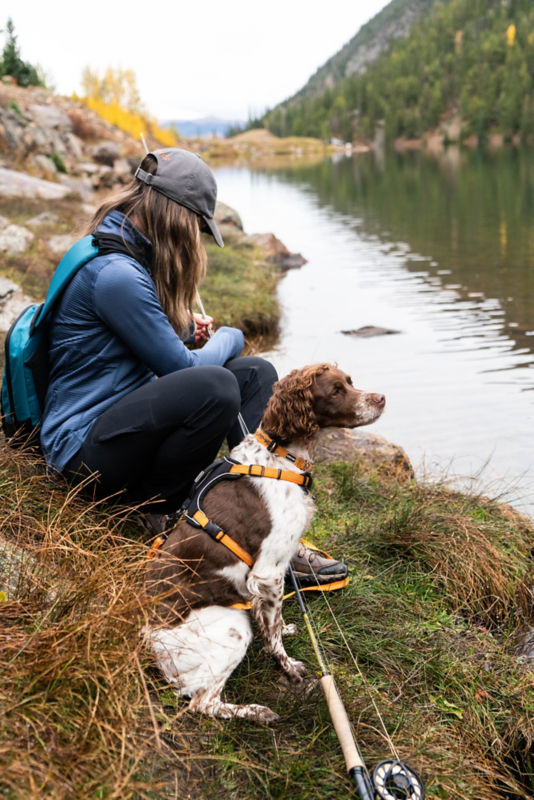 Tough Trail&reg; Dog Harness -  image number 5