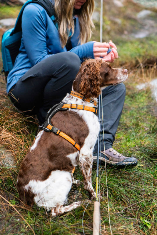 Tough Trail&reg; Dog Collar - ORANGE COLLAR image number 7