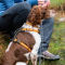 Tough Trail® Dog Harness - ORANGE HARNESS image number 5