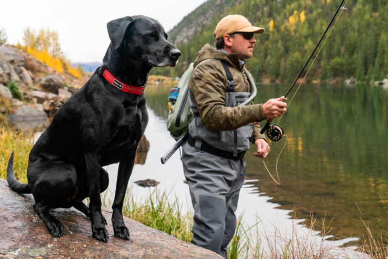 Tough Trail&reg; Dog Collar -  image number 4