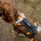 Tough Trail® Dog Harness - ORANGE HARNESS image number 1