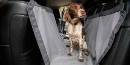 A white and brown dog in the back seat of a car on a gray windowed hammock seat protector