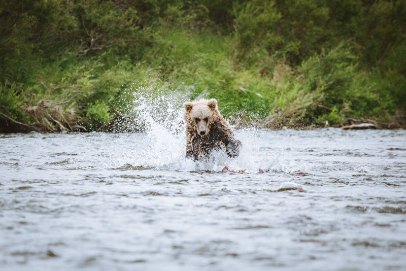 ColinArisman_121A1223