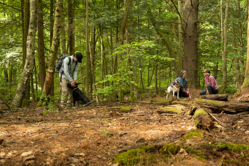 A family and their dog hiking in the woods.