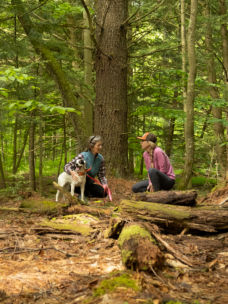 A few people in the woods hiking with their dog