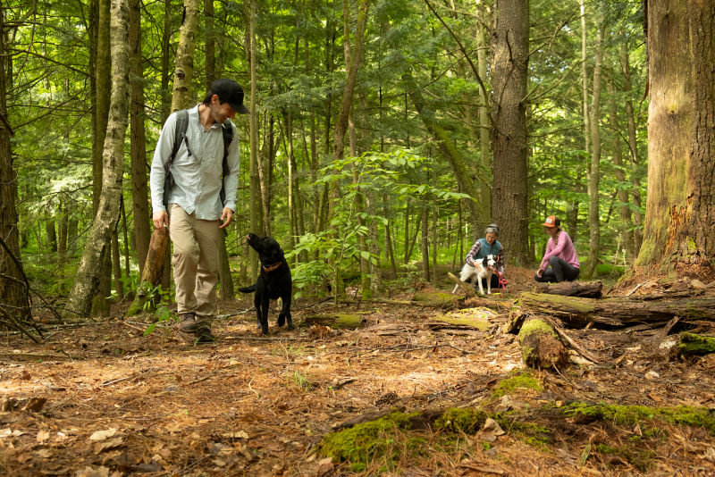 Charley walks through the forest with a happy black dog.