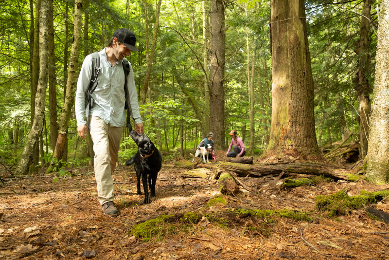 A man trains his dog just down the trail from a group of resting hikers.