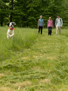 Two dogs and three people on a walk in the grass