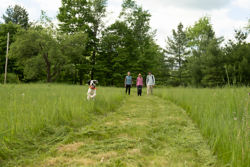 A dog bounding through field in front of three people