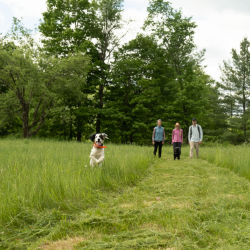 A dog bounding through field in front of three people.