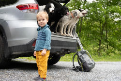 A child in yellow pants standing by a car with dogs peeking out the back.