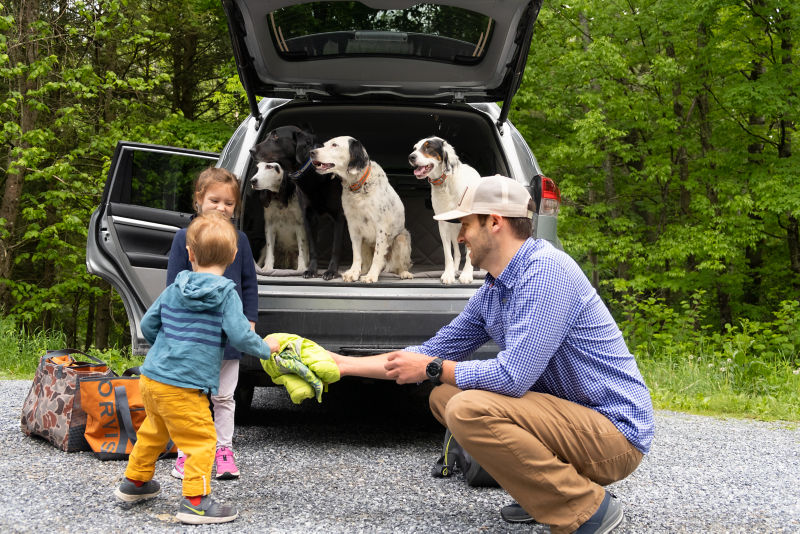 A father, two young children, and  four dogs packing up the car together after an adventure.