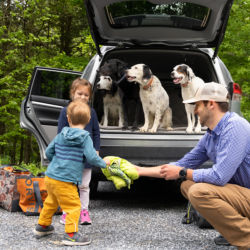 A father, two young children, and  four dogs packing up the car together after an adventure.