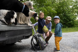 Four dogs peek out of the back of a car while a father and two small children gear up for an adventure.