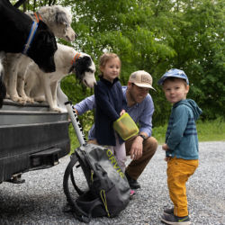 Four dogs peek out of the back of a car while a father and two small children gear up for an adventure.