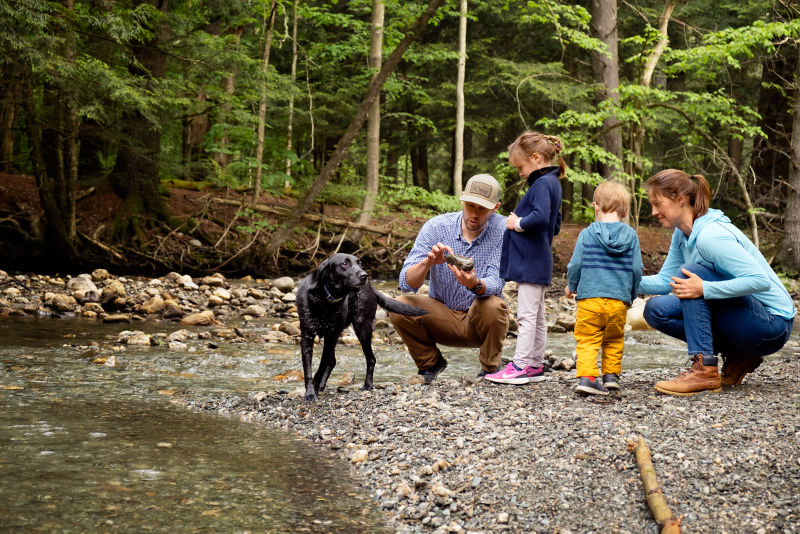 A family of two parents, two young children, and their black Labrador Retriever crouch by a stream inspecting rocks.