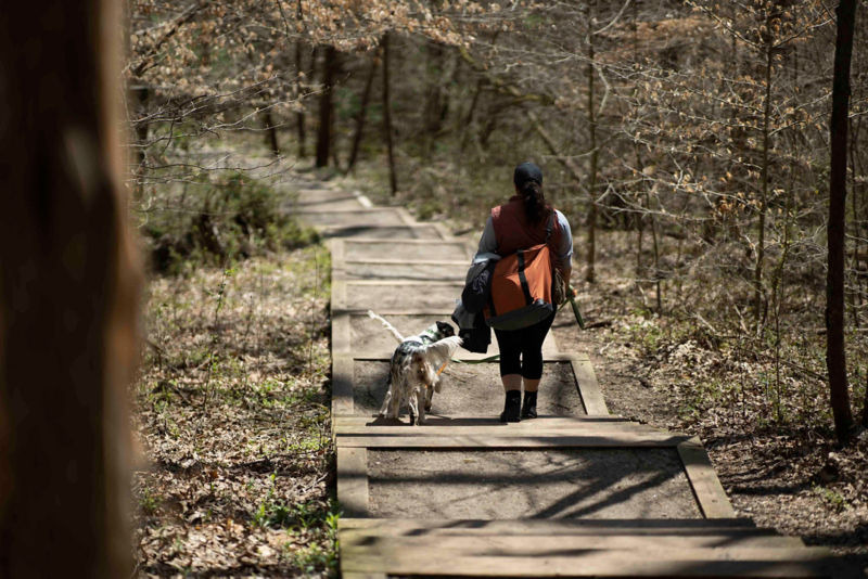 Melinda and her dog walking down a wooden path in the woods