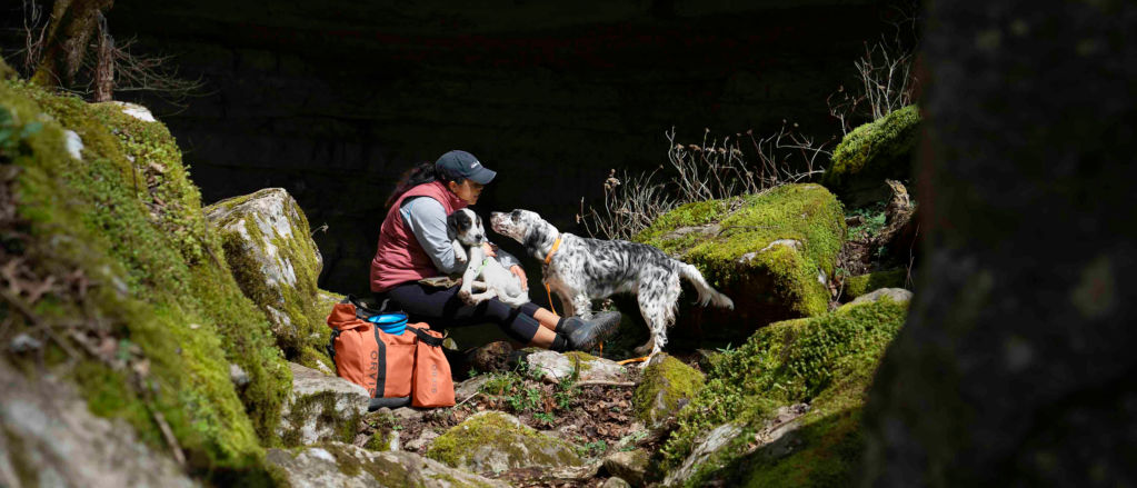 A woman sitting down in mossy woods next to her two dogs