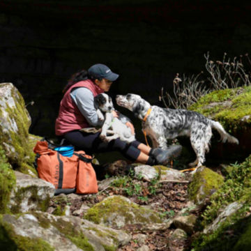 Two dogs and their owner take a rest outside of a cave.