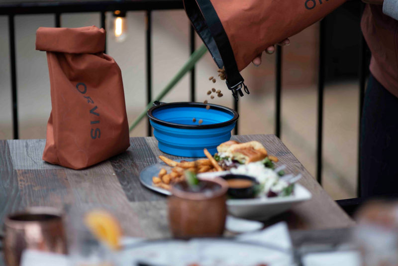 Dog food being poured out of an orange container
