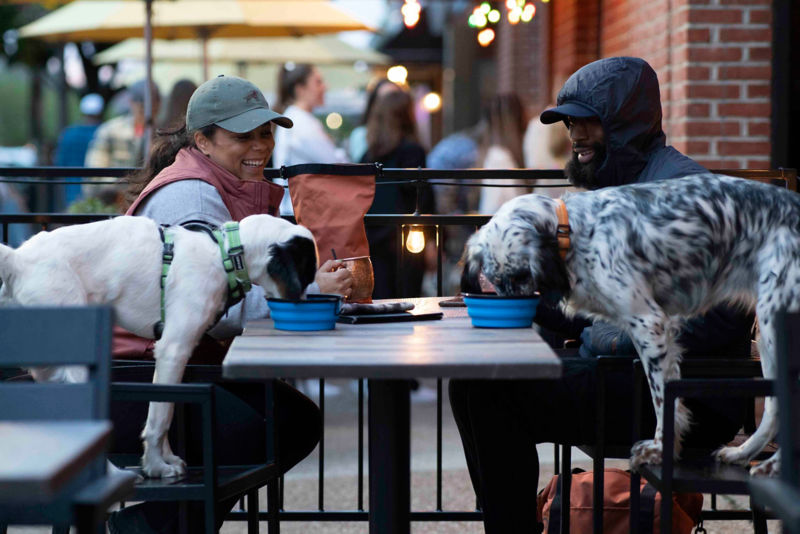 Two dogs eat from blue travel bowls at an outdoor table with two people looking on.