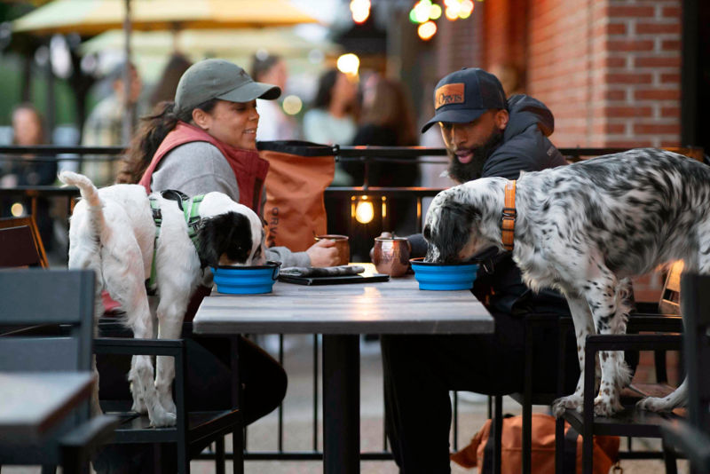 Tough Trail&reg; Collapsible Dog Bowl - BLUE image number 2