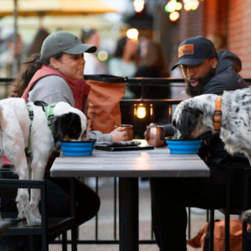 Two dogs sit with their owners at a patio and share a meal.