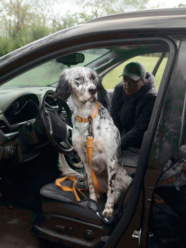 A black and white dog sitting in the front seat of a car
