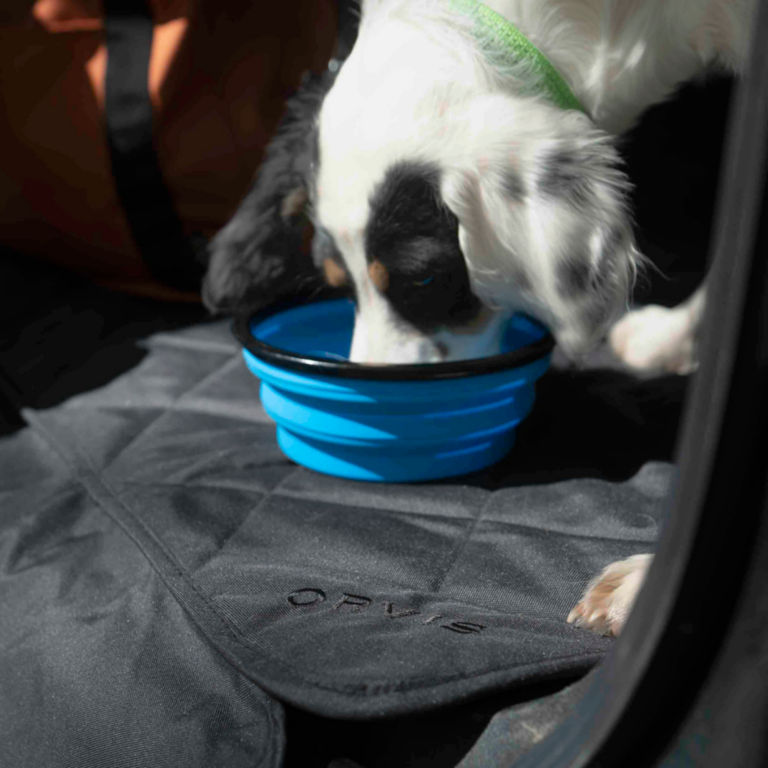 Tough Trail™ Collapsible Dog Bowl -  image number 1