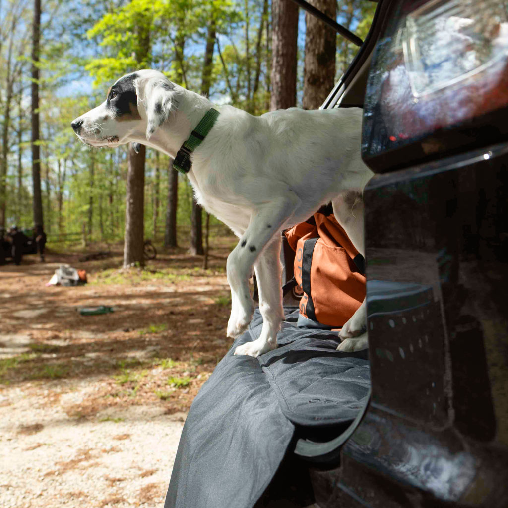 Tough Trail® Dog Collar - GREEN COLLAR image number 2
