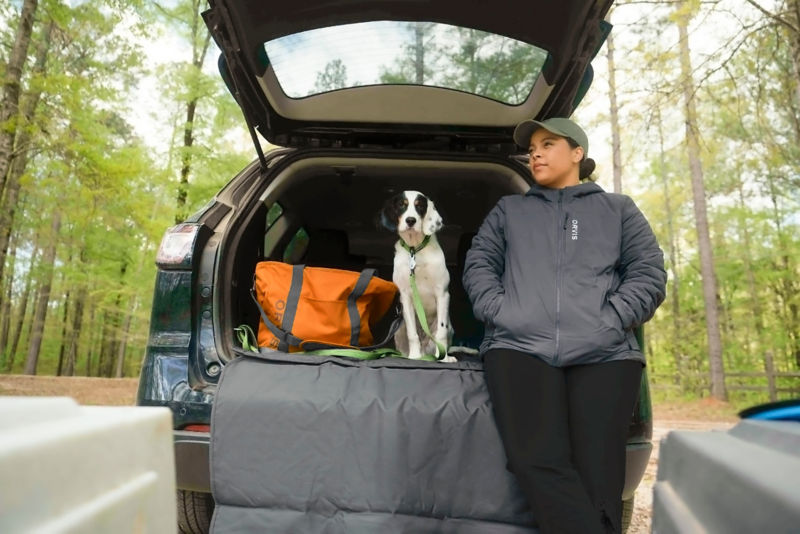 What To Pack When Road-Tripping With Dogs