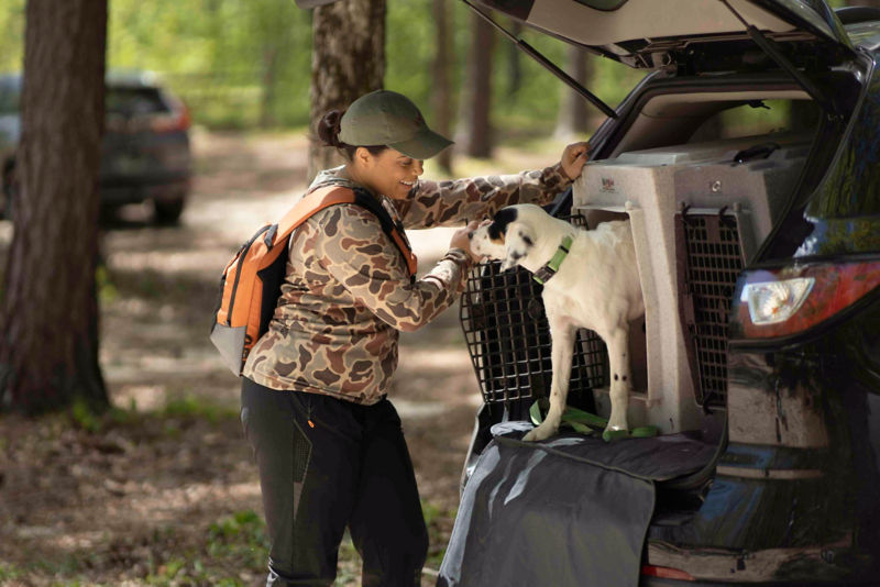 A spotted dog emerging from a crate at the back of a car to greet their owner