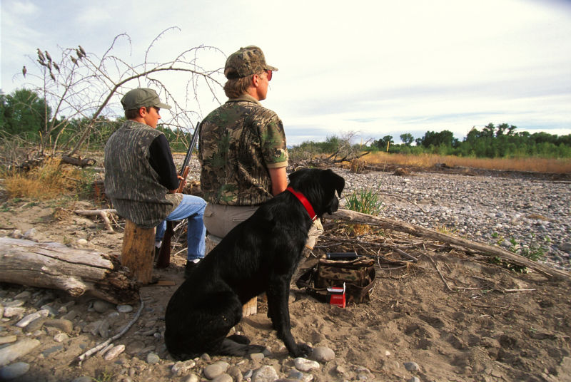 A child, man, and dog all fishing at the bank of a river