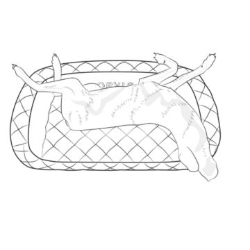 Orvis Memory Foam Bolster Dog Bed -  image number 3