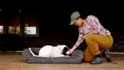 A woman teaching her dog to lay down on a dog bed