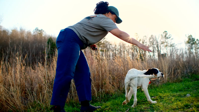 A woman giving her puppy a command in a field.
