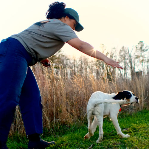 A woman giving her puppy a command in a field.