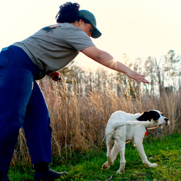 A woman giving her puppy a command in a field
